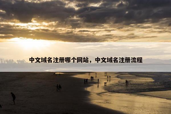 中文域名注册哪个网站，中文域名注册流程
