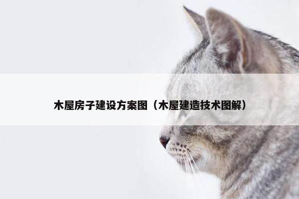 木屋房子建设方案图（木屋建造技术图解）