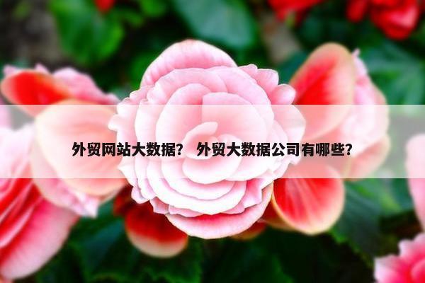 外贸网站大数据？ 外贸大数据公司有哪些？