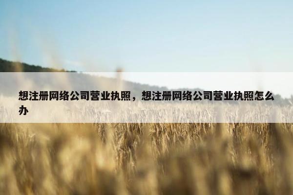 想注册网络公司营业执照，想注册网络公司营业执照怎么办