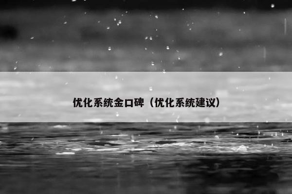 优化系统金口碑（优化系统建议）