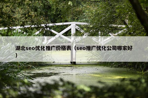 湖北seo优化推广价格表（seo推广优化公司哪家好）