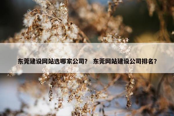 东莞建设网站选哪家公司？ 东莞网站建设公司排名？