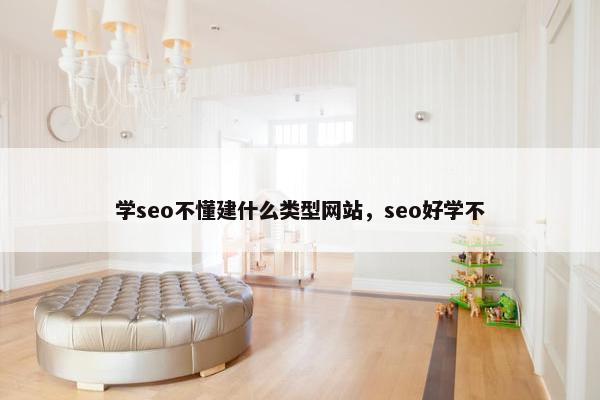 学seo不懂建什么类型网站，seo好学不