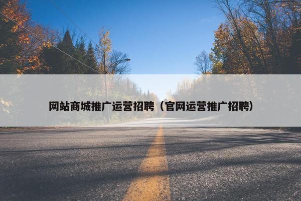 网站商城推广运营招聘（官网运营推广招聘）