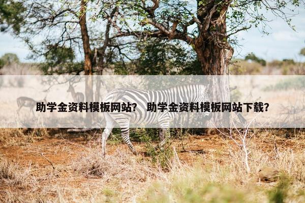 助学金资料模板网站？ 助学金资料模板网站下载？