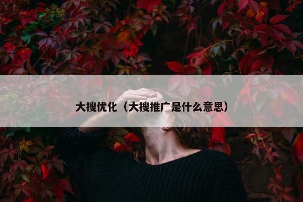 大搜优化（大搜推广是什么意思）