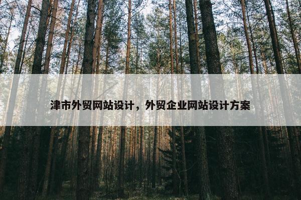 津市外贸网站设计，外贸企业网站设计方案