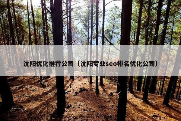 沈阳优化推荐公司（沈阳专业seo排名优化公司）