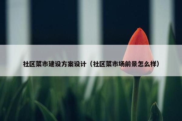 社区菜市建设方案设计（社区菜市场前景怎么样）