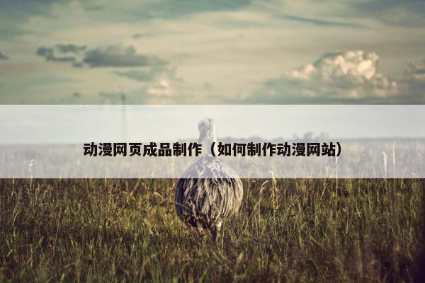 动漫网页成品制作（如何制作动漫网站）