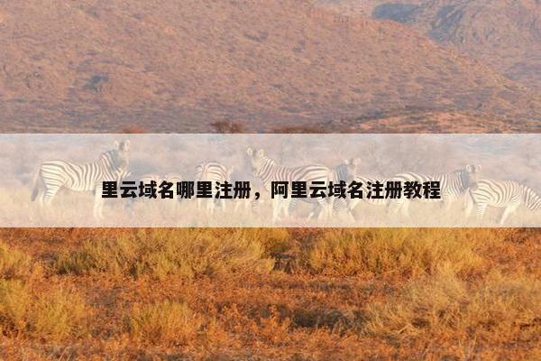 里云域名哪里注册，阿里云域名注册教程