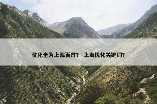 优化全为上海百首？ 上海优化关键词？