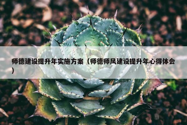 师德建设提升年实施方案（师德师风建设提升年心得体会）