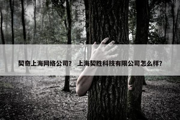 契奇上海网络公司？ 上海契胜科技有限公司怎么样？