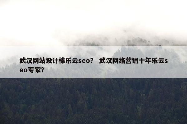 武汉网站设计棒乐云seo？ 武汉网络营销十年乐云seo专家？