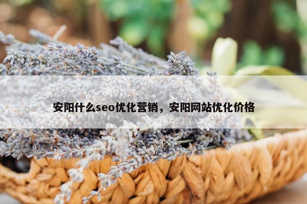 安阳什么seo优化营销，安阳网站优化价格