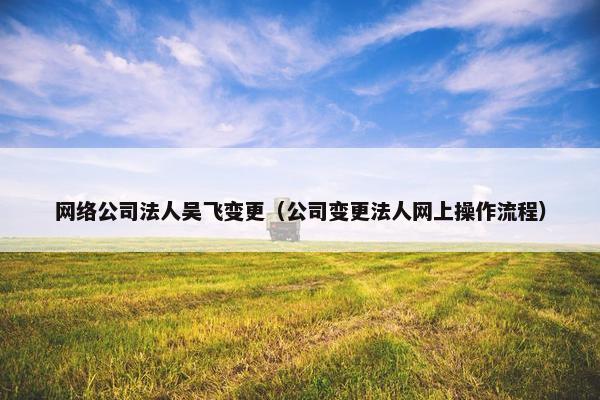 网络公司法人吴飞变更（公司变更法人网上操作流程）