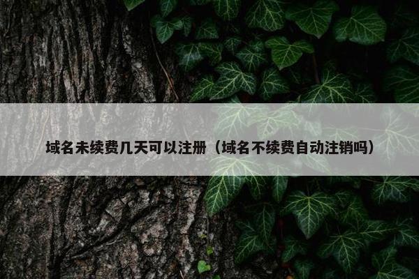 域名未续费几天可以注册（域名不续费自动注销吗）