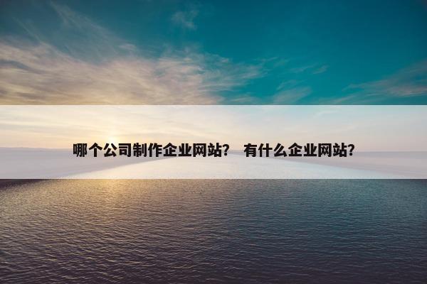 哪个公司制作企业网站？ 有什么企业网站？
