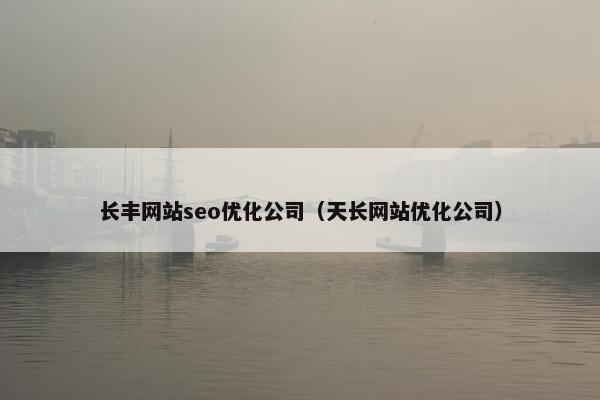 长丰网站seo优化公司（天长网站优化公司）