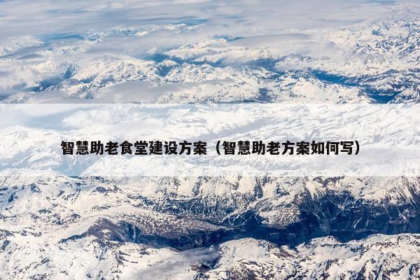 智慧助老食堂建设方案（智慧助老方案如何写）