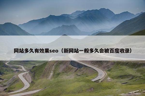 网站多久有效果seo（新网站一般多久会被百度收录）