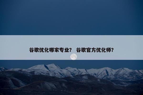 谷歌优化哪家专业？ 谷歌官方优化师？