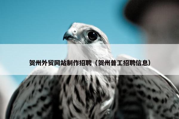 贺州外贸网站制作招聘（贺州普工招聘信息）