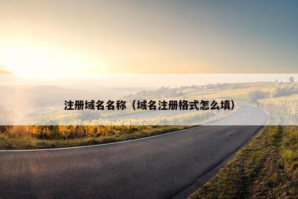 注册域名名称（域名注册格式怎么填）