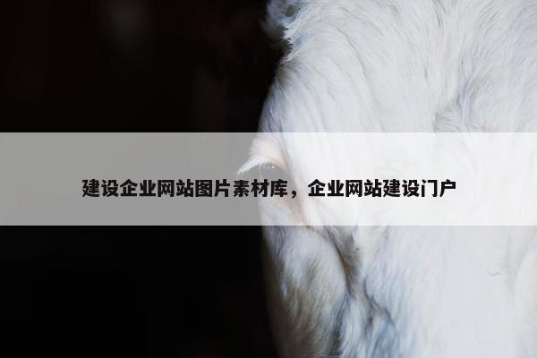 建设企业网站图片素材库，企业网站建设门户
