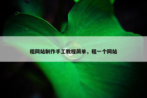 租网站制作手工教程简单，租一个网站