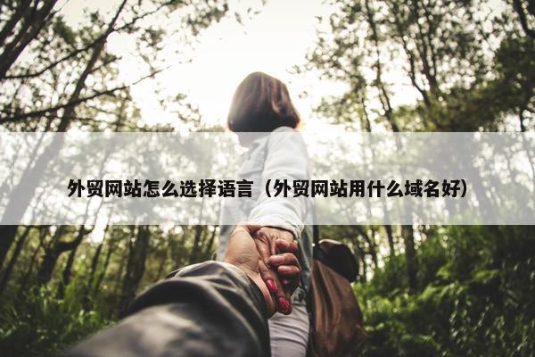 外贸网站怎么选择语言（外贸网站用什么域名好）