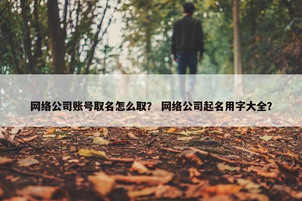 网络公司账号取名怎么取？ 网络公司起名用字大全？