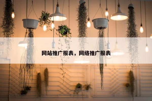 网站推广报表，网络推广报表