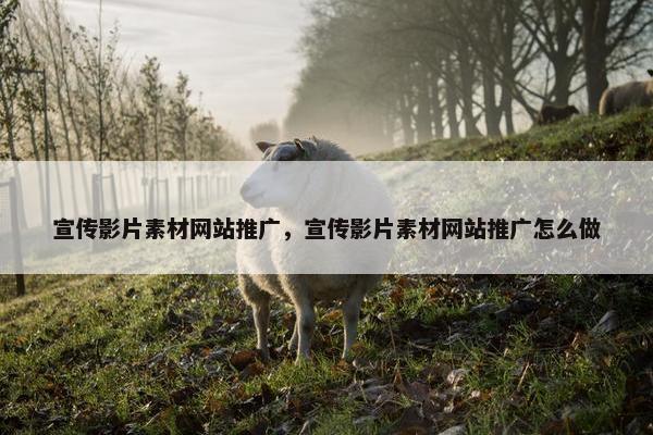 宣传影片素材网站推广，宣传影片素材网站推广怎么做