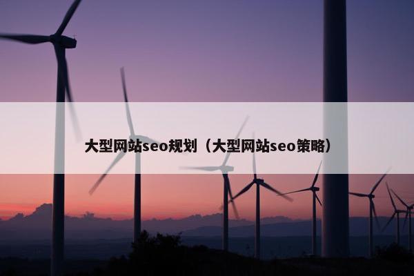 大型网站seo规划（大型网站seo策略）