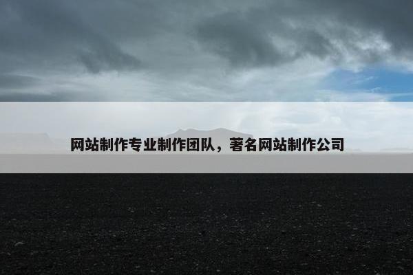 网站制作专业制作团队，著名网站制作公司