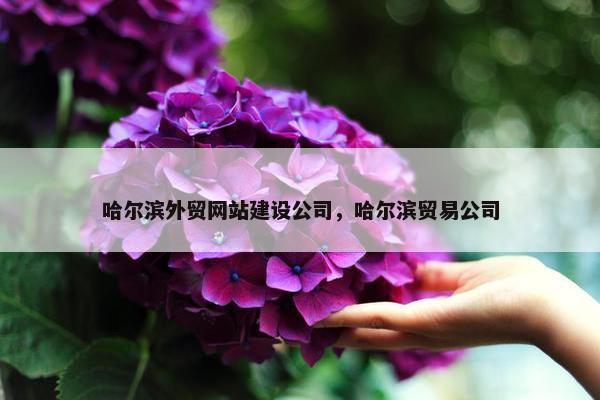 哈尔滨外贸网站建设公司，哈尔滨贸易公司