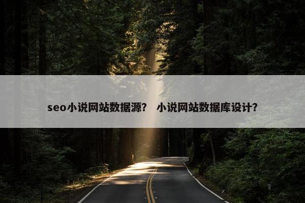seo小说网站数据源？ 小说网站数据库设计？
