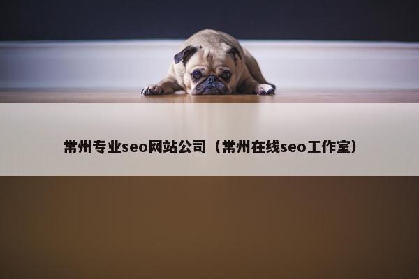 常州专业seo网站公司（常州在线seo工作室）