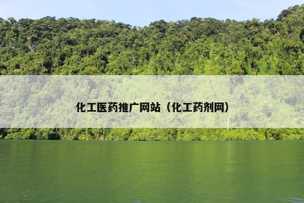 化工医药推广网站（化工药剂网）