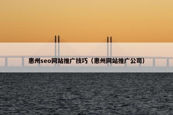 惠州seo网站推广技巧（惠州网站推广公司）