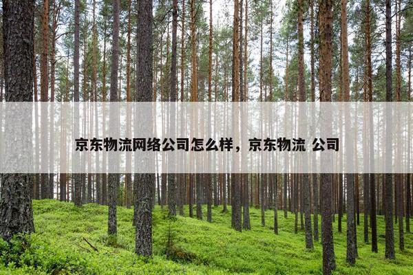 京东物流网络公司怎么样，京东物流 公司
