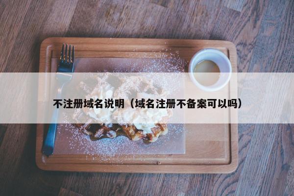 不注册域名说明（域名注册不备案可以吗）