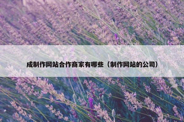 成制作网站合作商家有哪些（制作网站的公司）