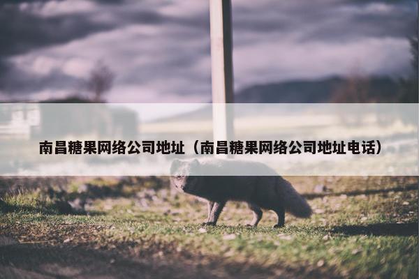 南昌糖果网络公司地址（南昌糖果网络公司地址电话）