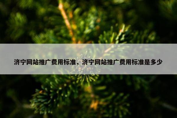 济宁网站推广费用标准，济宁网站推广费用标准是多少