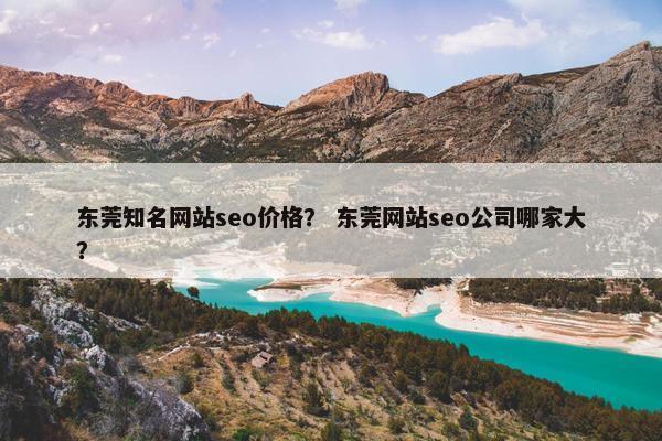 东莞知名网站seo价格？ 东莞网站seo公司哪家大？
