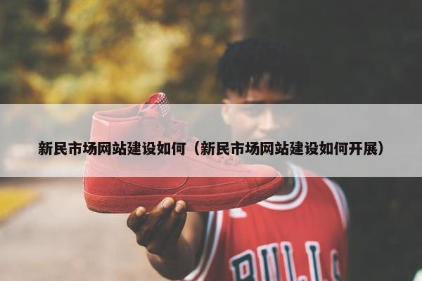 新民市场网站建设如何（新民市场网站建设如何开展）